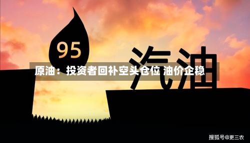 原油：投资者回补空头仓位 油价企稳