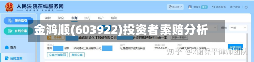 金鸿顺(603922)投资者索赔分析-第2张图片