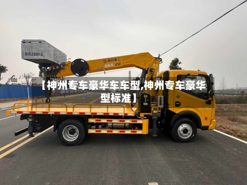 【神州专车豪华车车型,神州专车豪华型标准】-第2张图片