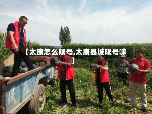 【太康怎么限号,太康县城限号嘛】-第3张图片