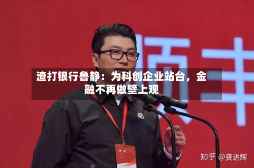 渣打银行鲁静：为科创企业站台，金融不再做壁上观-第2张图片