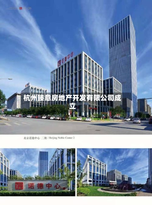 杭州臻意房地产开发有限公司成立-第2张图片