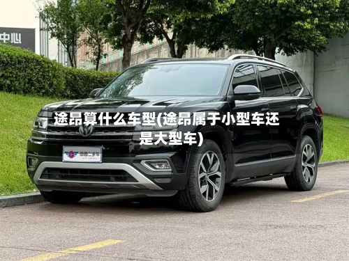 途昂算什么车型(途昂属于小型车还是大型车)