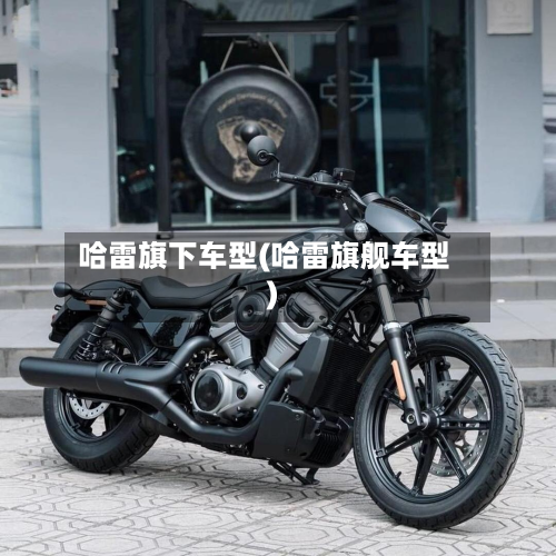 哈雷旗下车型(哈雷旗舰车型)