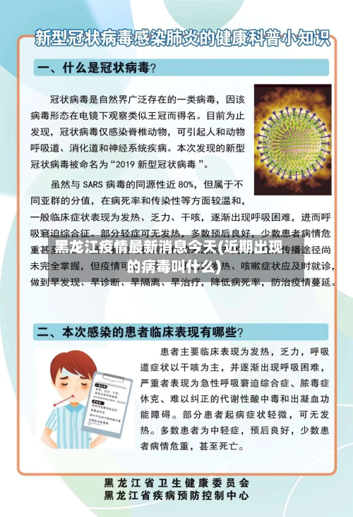 黑龙江疫情最新消息今天(近期出现的病毒叫什么)-第2张图片