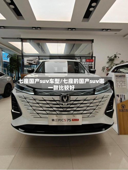 七座国产suv车型/七座的国产suv哪一款比较好