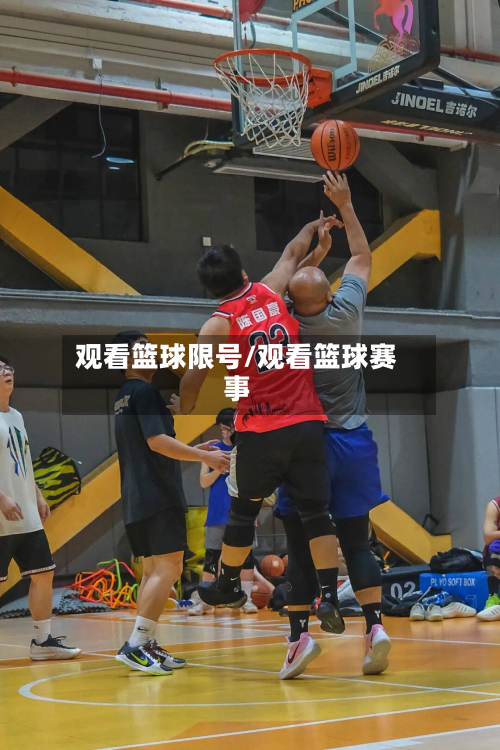 观看篮球限号/观看篮球赛事-第2张图片