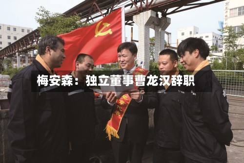 梅安森：独立董事曹龙汉辞职-第2张图片