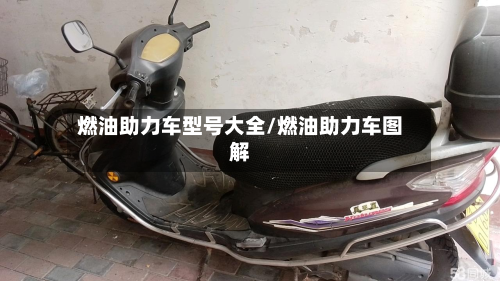 燃油助力车型号大全/燃油助力车图解-第2张图片