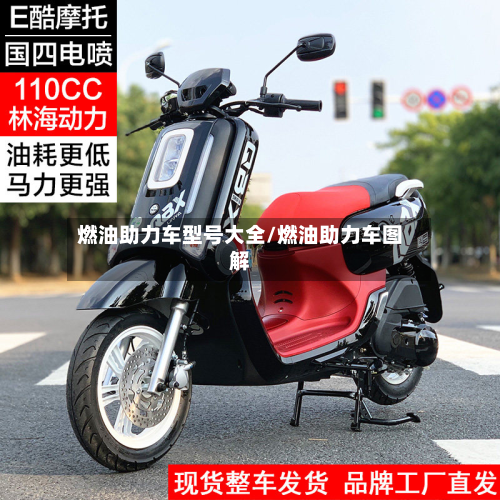 燃油助力车型号大全/燃油助力车图解-第3张图片