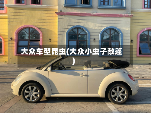 大众车型昆虫(大众小虫子敞篷)
