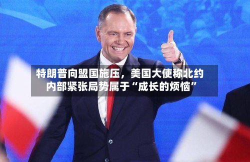 特朗普向盟国施压，美国大使称北约内部紧张局势属于“成长的烦恼”-第1张图片