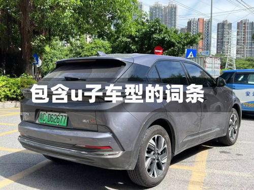 包含u子车型的词条