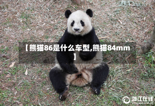 【熊猫86是什么车型,熊猫84mm】-第3张图片