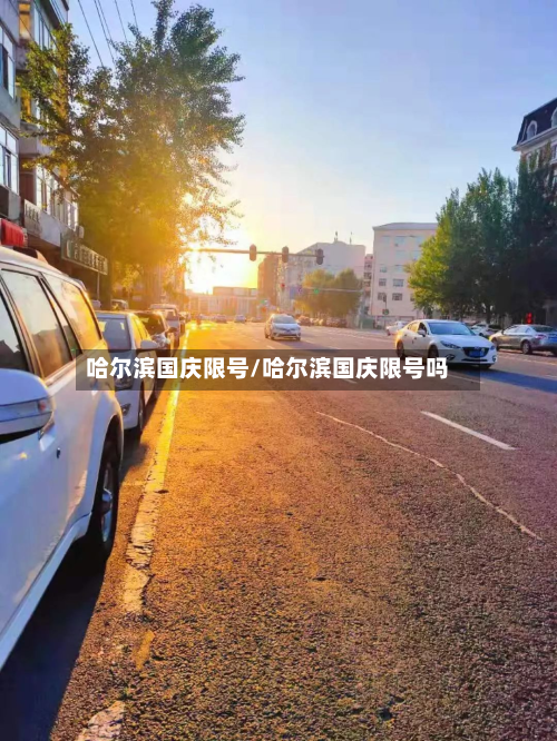 哈尔滨国庆限号/哈尔滨国庆限号吗