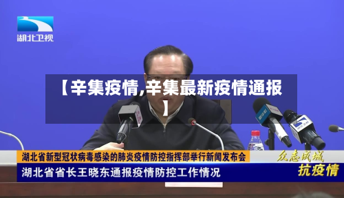 【辛集疫情,辛集最新疫情通报】-第2张图片