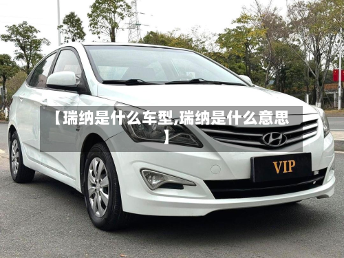 【瑞纳是什么车型,瑞纳是什么意思】-第2张图片