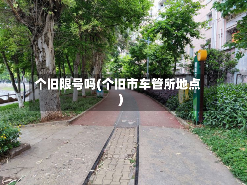 个旧限号吗(个旧市车管所地点)-第2张图片