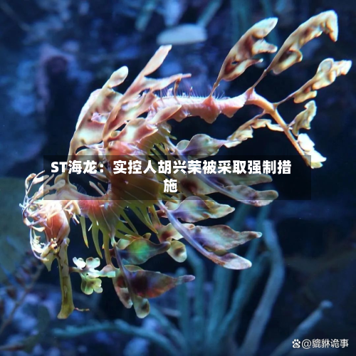 ST海龙:实控人胡兴荣被采取强制措施