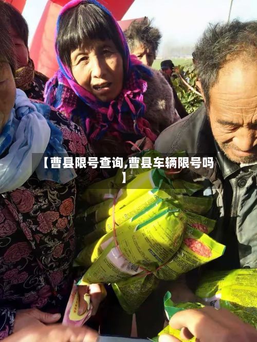 【曹县限号查询,曹县车辆限号吗】-第2张图片