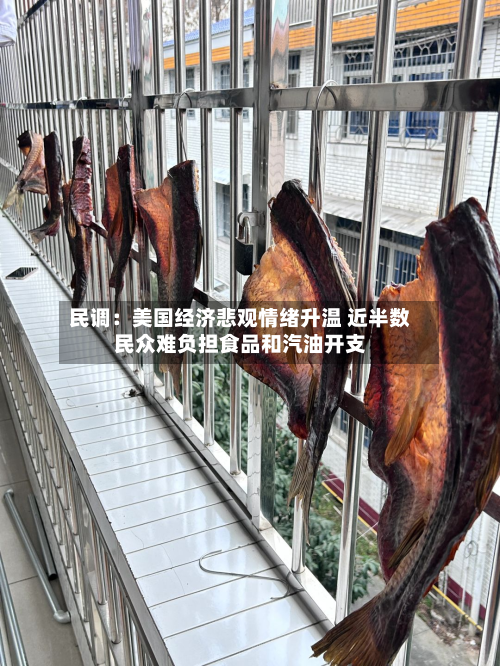 民调:美国经济悲观情绪升温 近半数民众难负担食品和汽油开支-第2张图片