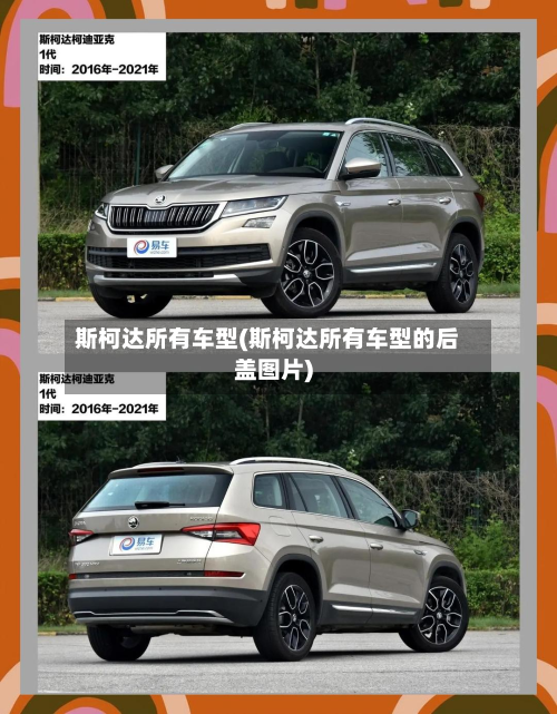 斯柯达所有车型(斯柯达所有车型的后盖图片)-第3张图片