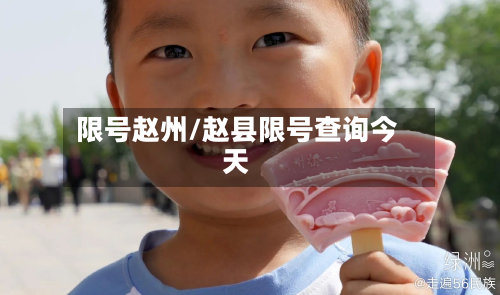 限号赵州/赵县限号查询今天-第2张图片