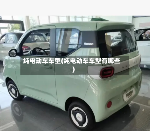纯电动车车型(纯电动车车型有哪些)