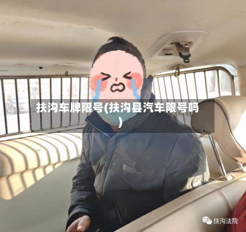 扶沟车牌限号(扶沟县汽车限号吗)-第2张图片