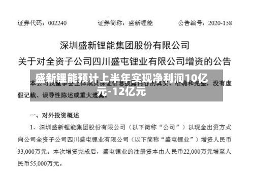 盛新锂能预计上半年实现净利润10亿元-12亿元
