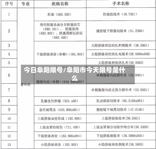 今日阜阳限号/阜阳市今天限号是什么-第2张图片