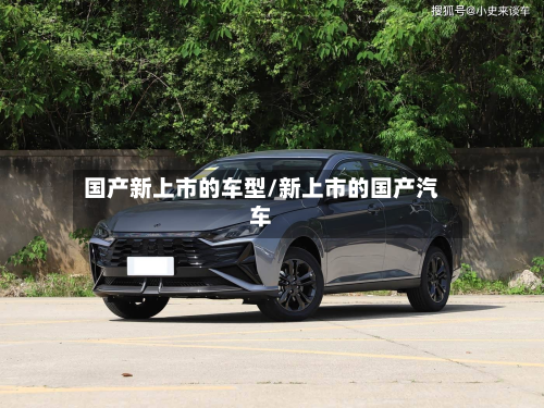 国产新上市的车型/新上市的国产汽车-第2张图片
