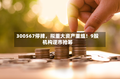 300567停牌，拟重大资产重组！9股机构逆市抢筹-第2张图片
