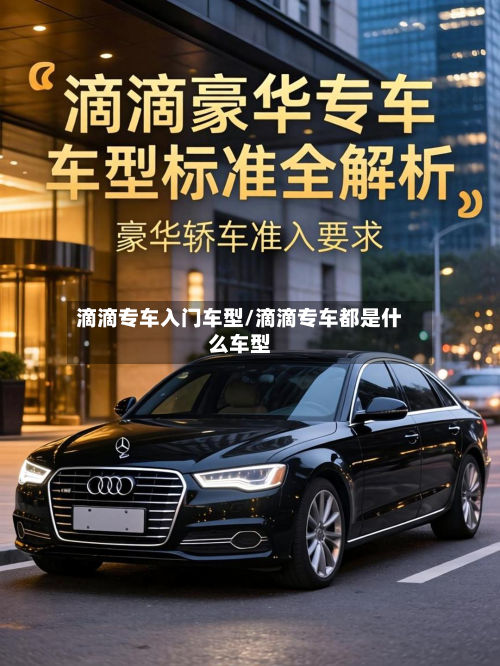 滴滴专车入门车型/滴滴专车都是什么车型