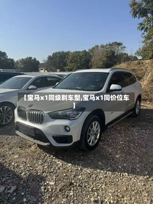 【宝马x1同级别车型,宝马x1同价位车】-第3张图片