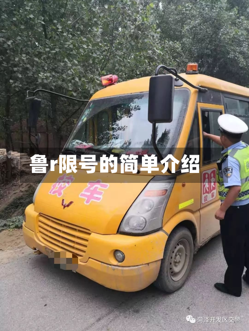 鲁r限号的简单介绍