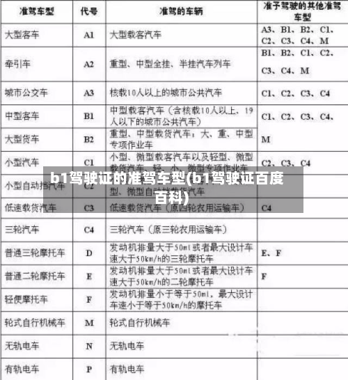 b1驾驶证的准驾车型(b1驾驶证百度百科)-第2张图片