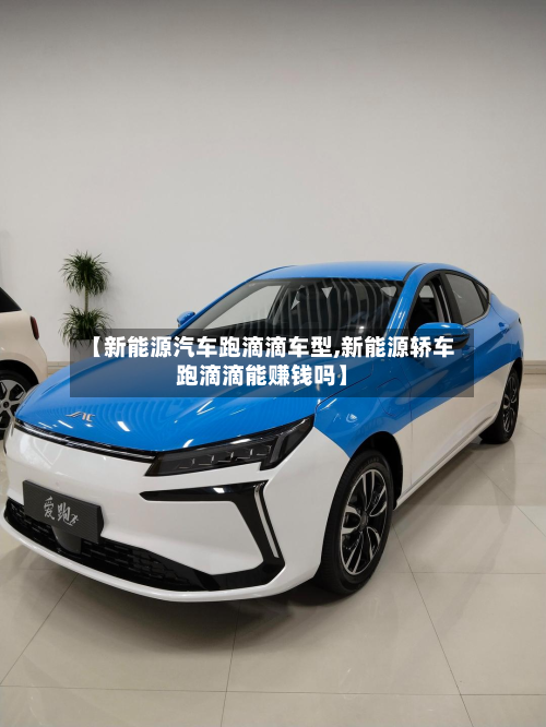 【新能源汽车跑滴滴车型,新能源轿车跑滴滴能赚钱吗】-第2张图片