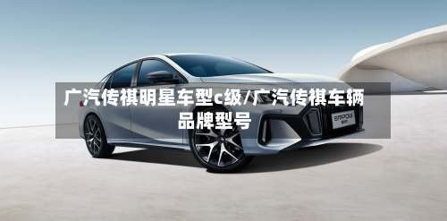 广汽传祺明星车型c级/广汽传祺车辆品牌型号