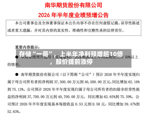 存储“一哥	”，上半年净利预增超10倍	，股价提前涨停-第2张图片