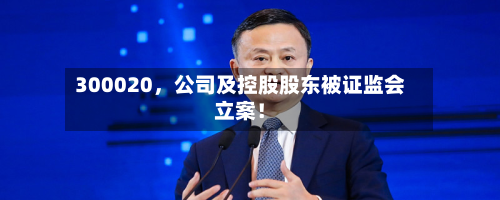 300020，公司及控股股东被证监会立案！