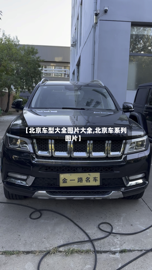 【北京车型大全图片大全,北京车系列图片】