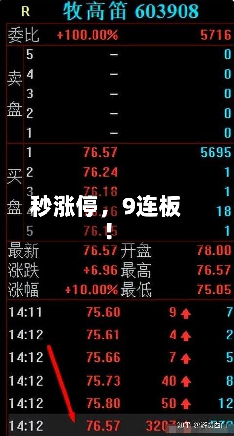 秒涨停	，9连板！-第2张图片