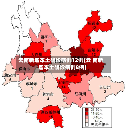 云南新增本土确诊病例12例(云 南新增本土确诊病例8例)-第2张图片