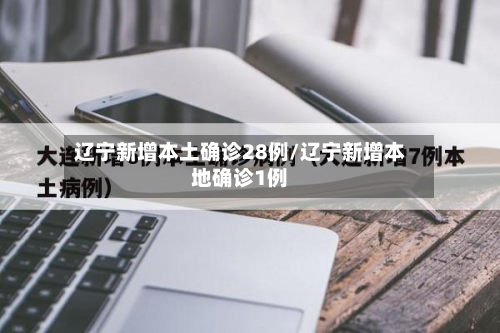 辽宁新增本土确诊28例/辽宁新增本地确诊1例