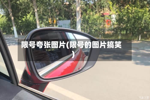 限号夸张图片(限号的图片搞笑)