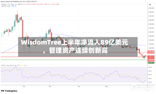 WisdomTree上半年净流入89亿美元，管理资产连续创新高-第3张图片