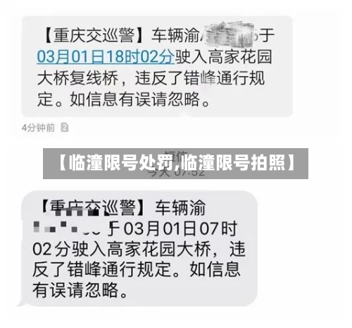【临潼限号处罚,临潼限号拍照】-第2张图片