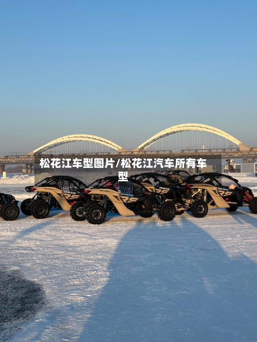 松花江车型图片/松花江汽车所有车型-第2张图片
