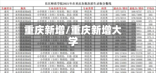 重庆新增/重庆新增大学-第3张图片